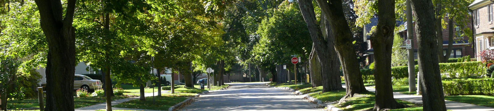 tree lined street in Oshawa