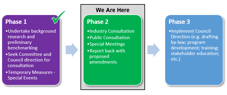 Phases of the Business Licensing By-law Review