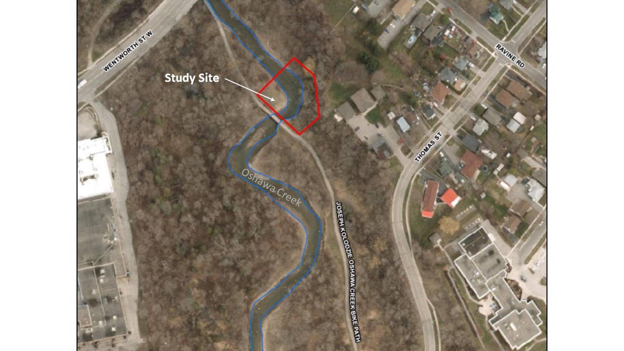 Oshawa Creek Site 3 Preliminary Design Project