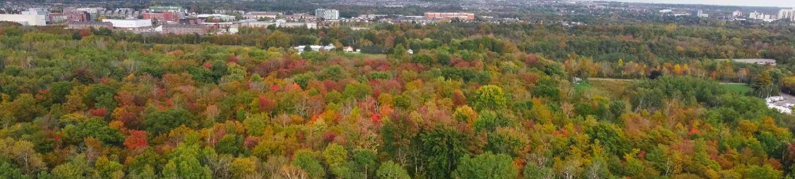 Northwood Business Park 