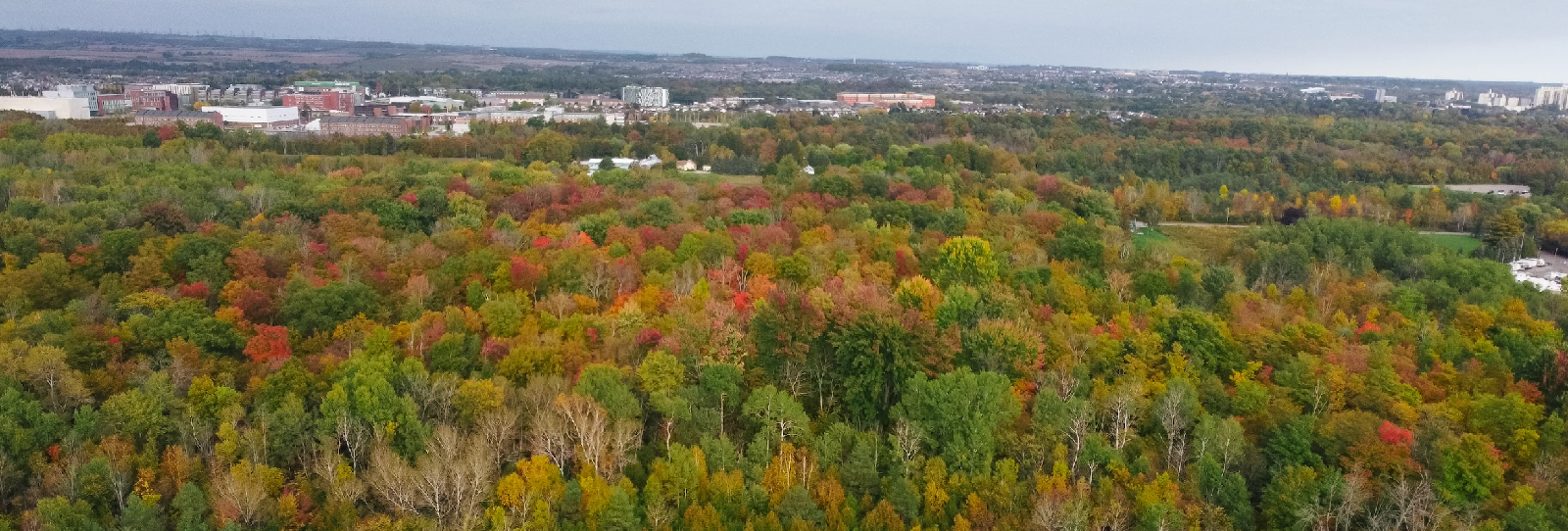 Northwood Business Park