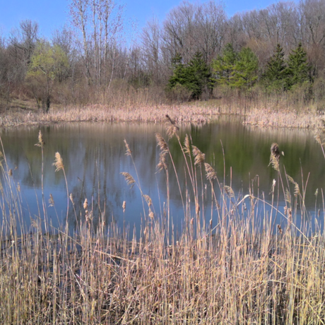 stowmwater pond