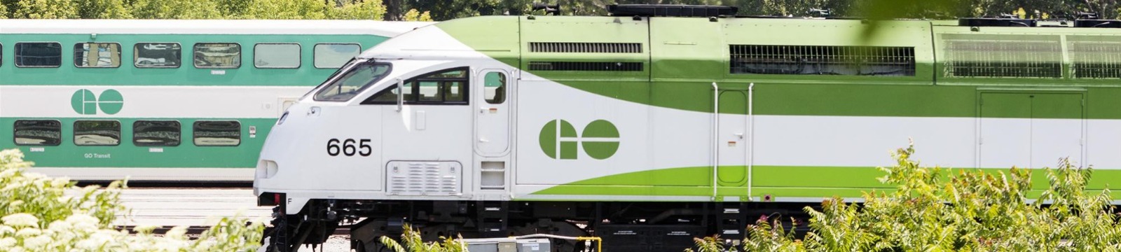 View of GO trains