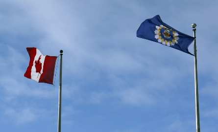 Flags at City Hall