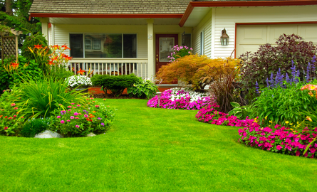 front yard of home with grass and gardens