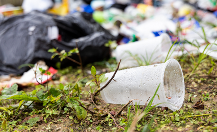 litter on ground