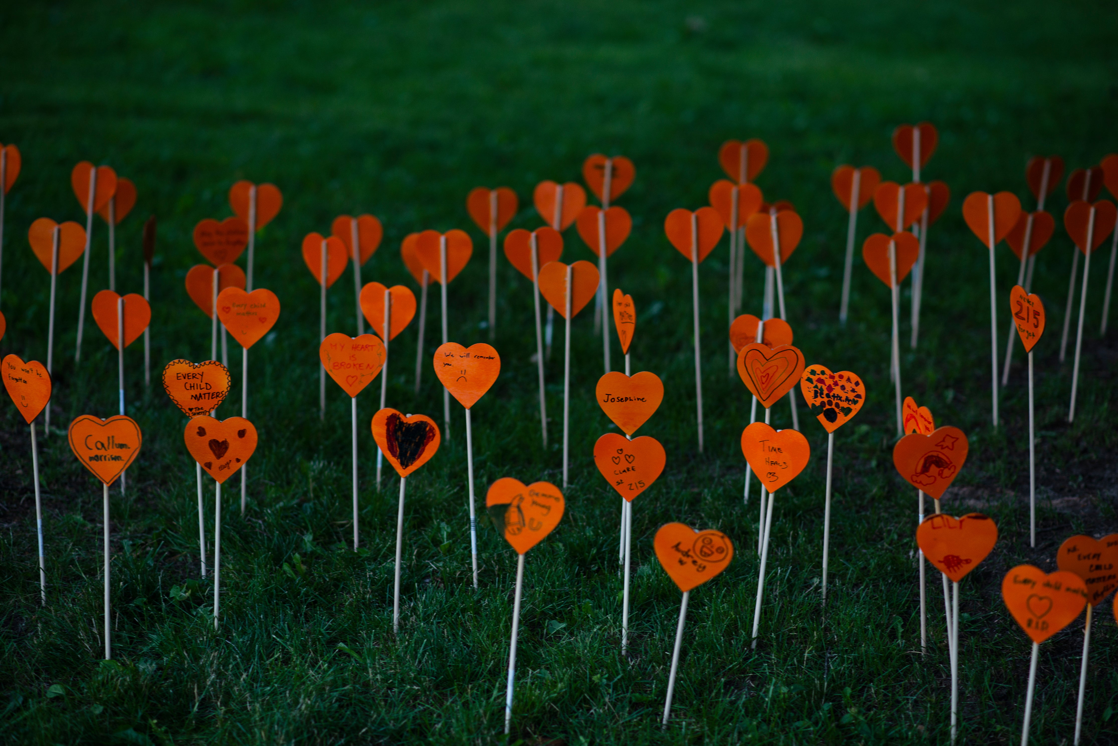 Image of green grass with multiple Orange Hearts spread throughout the lawn