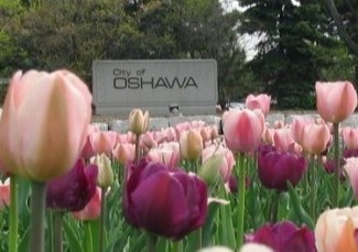 flowers in front of City of Oshawa sign