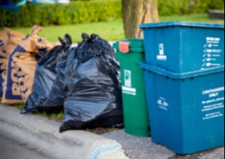 garbage bags, blue boxes, and green bin at curb