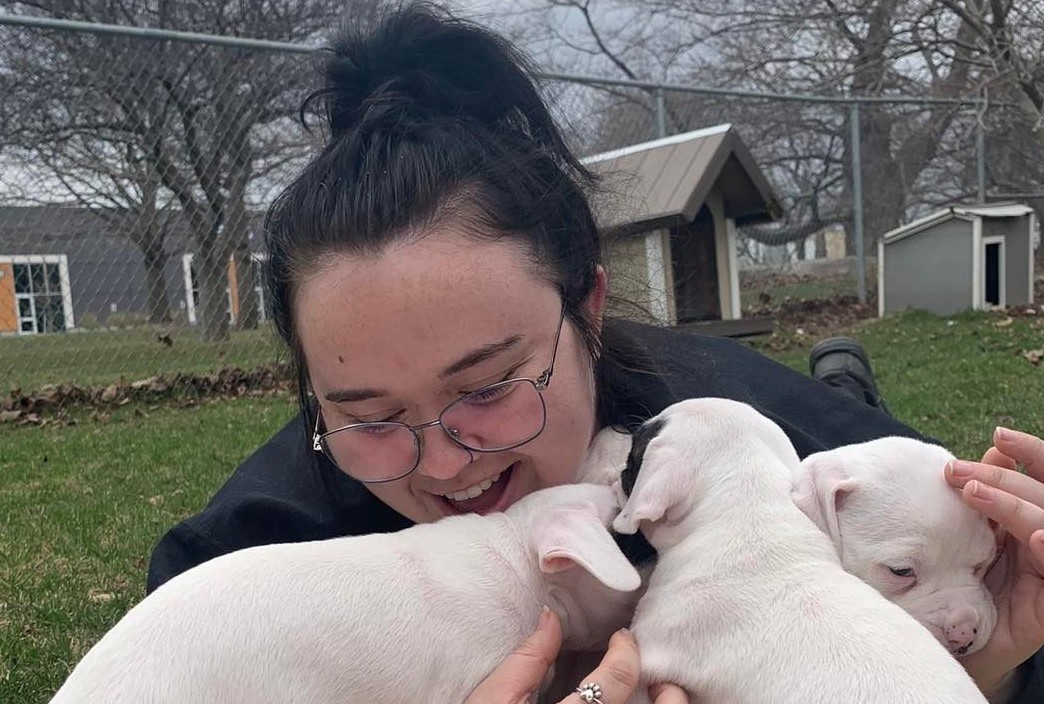 City staff playing with puppies