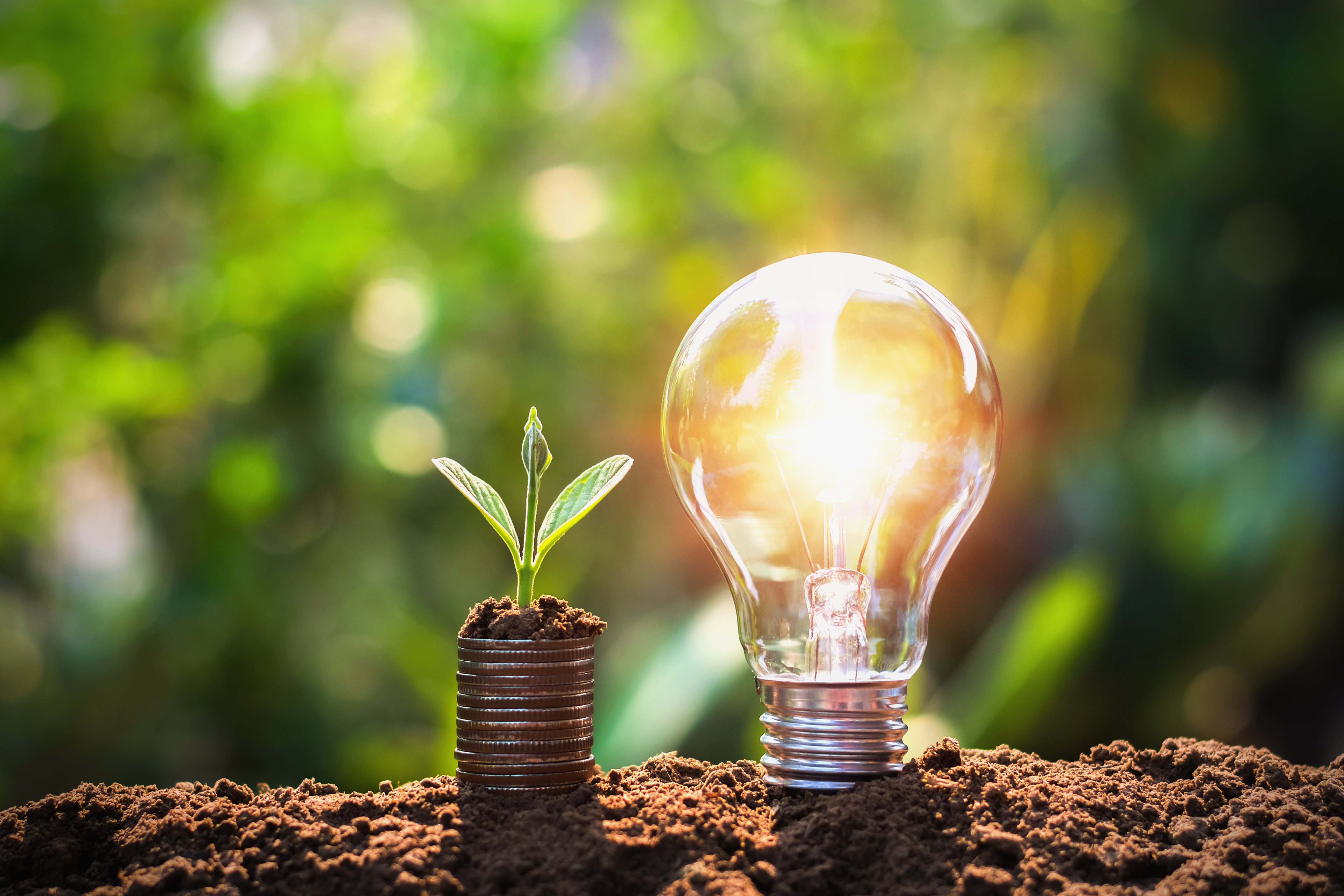 A stack of coins with a plant growing out of them beside a lightbulb that it is lit up sitting on a mound of soil in front of an out of focus green background.