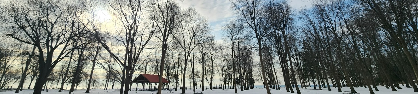 Winter landscape in City of Oshawa park