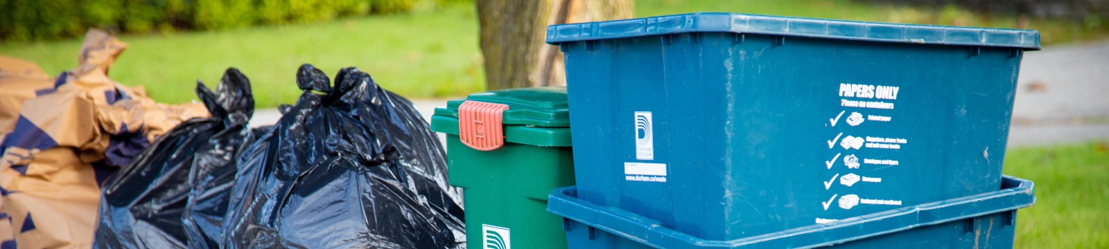 yard waste bags, garbage bags, green bin and blue boxes set out at the curb