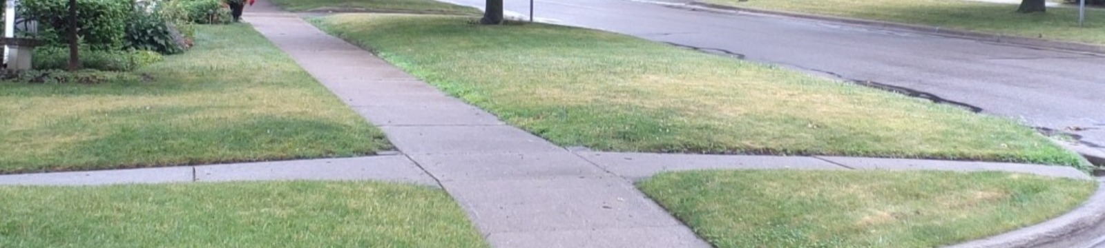 picture of grass on side boulevard