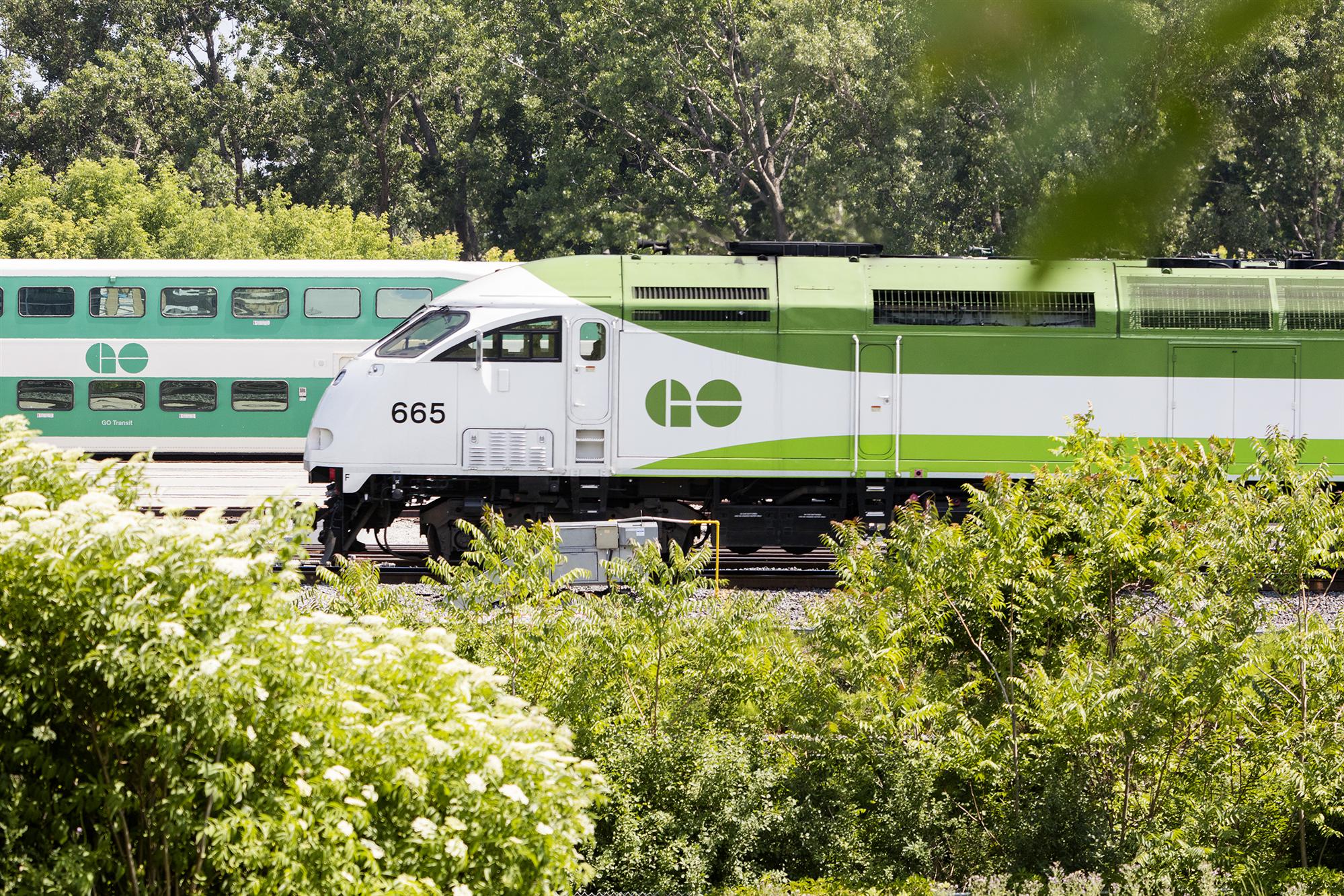 a GO train