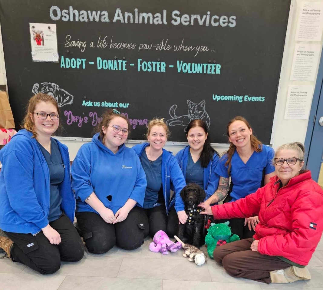 Oshawa Animal Services staff members kneel for photo with Miles the shelters 100th adoptable in 2024