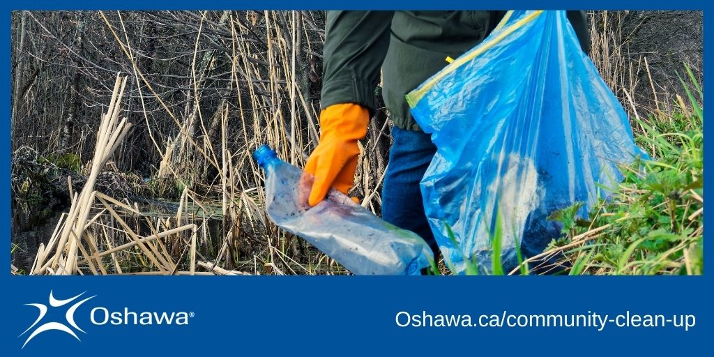 Community clean-up in the park