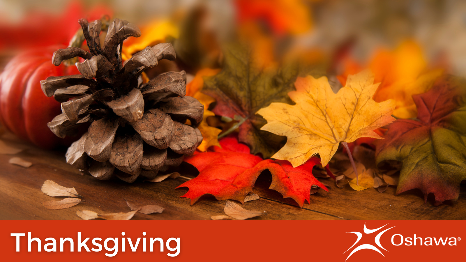 fall leaves with text in white on a red background that reads 