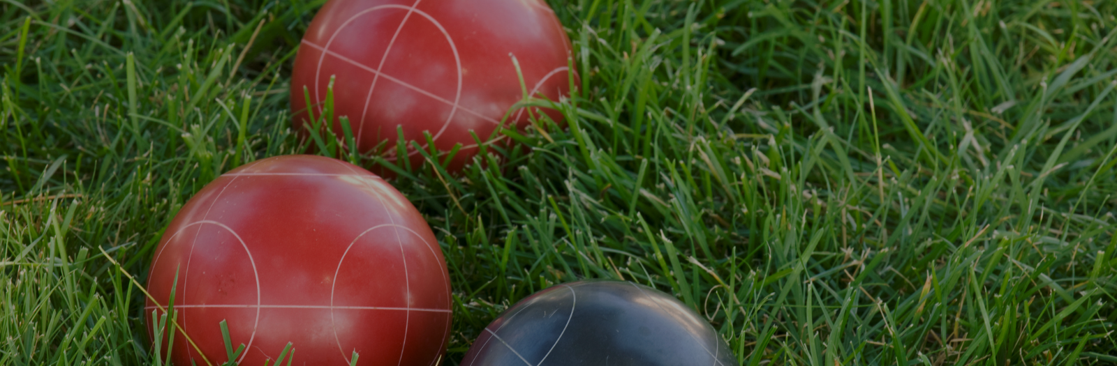 Two red bocce balls sit on tall grass