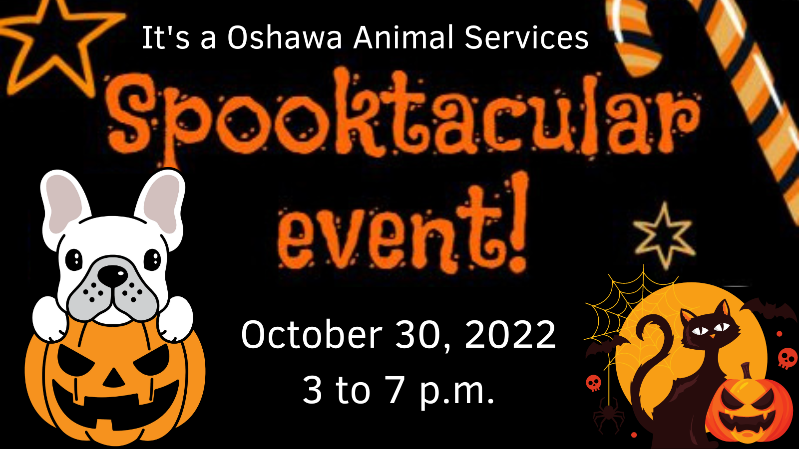Get ready for a spooktacular Howl-o-ween 
