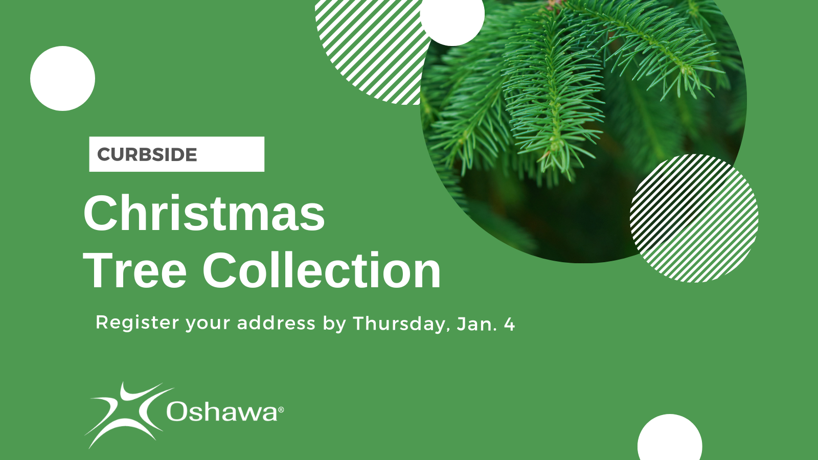 Green background with the words "Curbside Christmas Tree Collection. Register your address by Thursday, Jan. 5. Oshawa logo