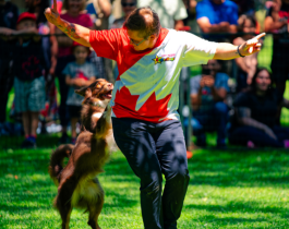 man with dog doing tricks
