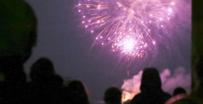 Colourful purple fireworks in dark lit sky.