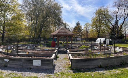 Community Garden in circle shape, built of wood planters no blooms in photo.