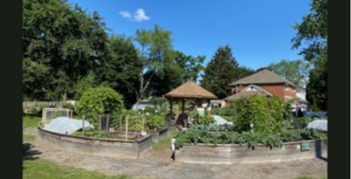 view of the gardens at Alexandra's Bounty, concentric circles garden beds