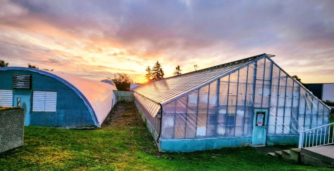 Colourful sky with two glass enclosed greenhouses on grass