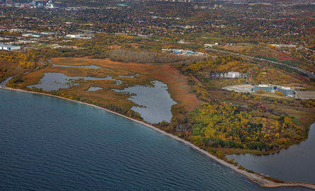 Arial photo of Oshawa Second Marsh wetlands with fall colours.