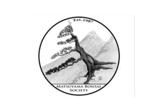 Matsuyama Bonsai Society logo