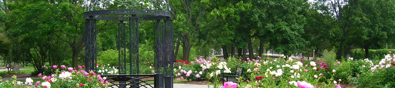 Colourful peony display and metal garden sculpture