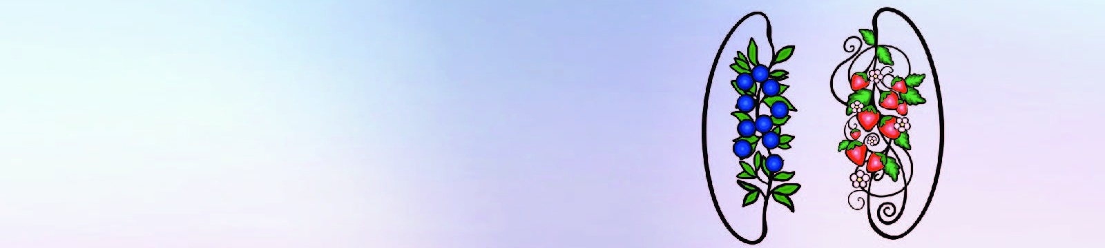 Light blue and pink background with blueberry and strawberry icons representing indigenous lungs.