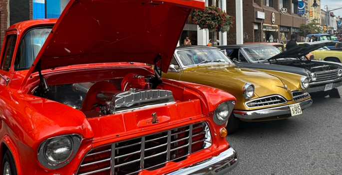 Classic vehicles lined up with front vehicle hoods raised.