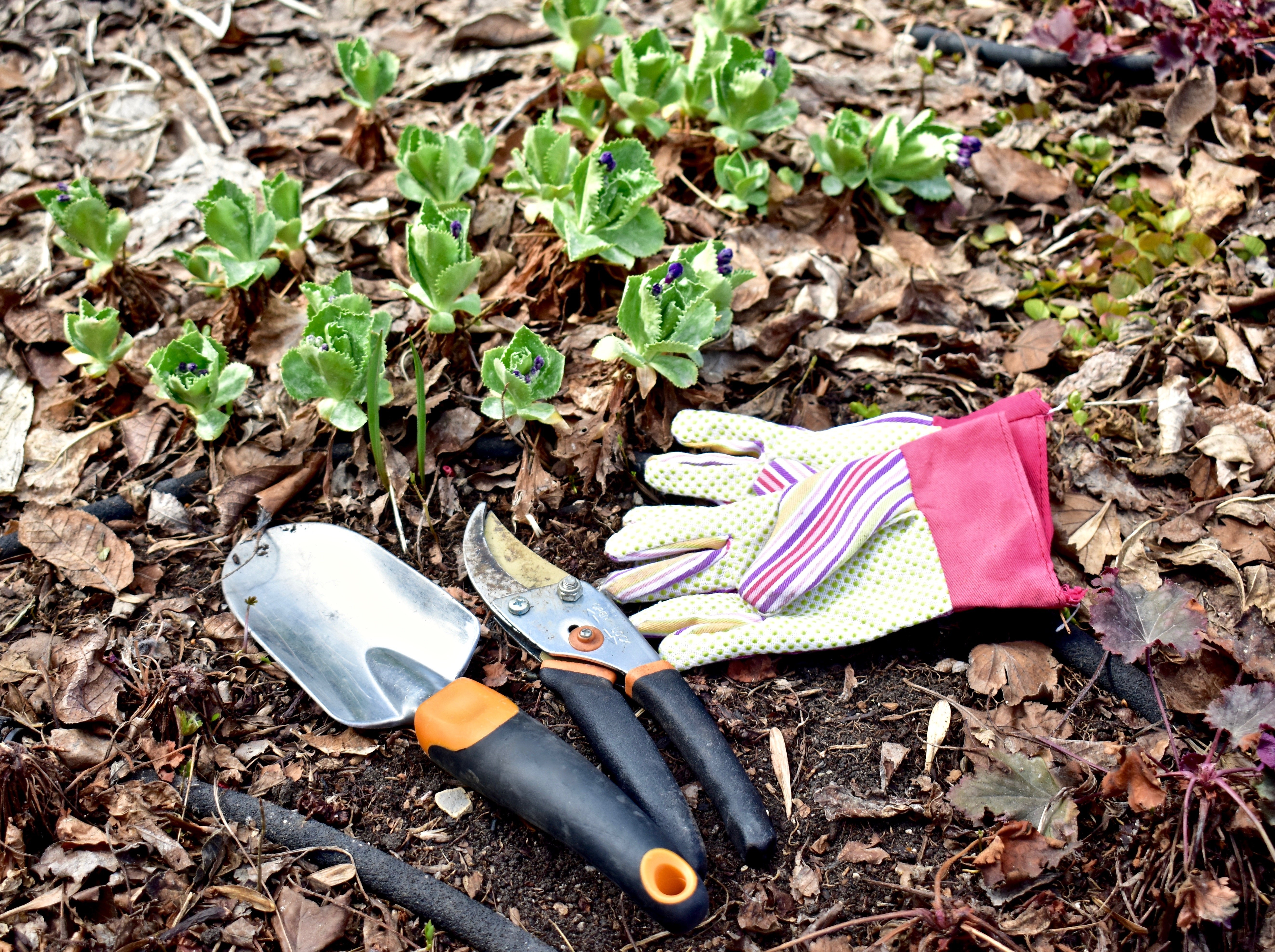 Planting tools