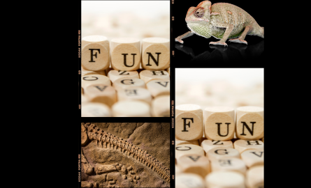 chameleon, dinosaur bones and the word Fun