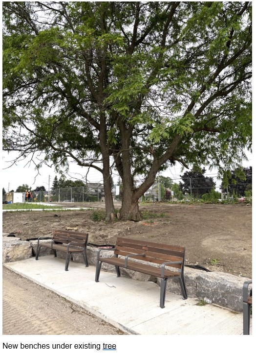 New benches