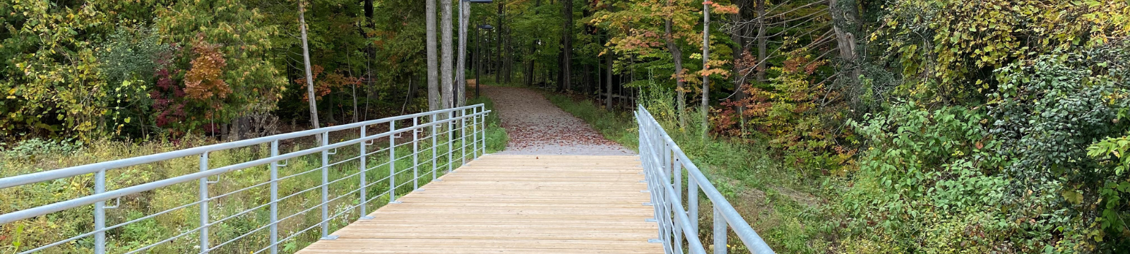 Bridge leading to a trail to explore in Oshawa