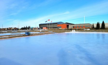 Delpark Outdoor Ice Rink