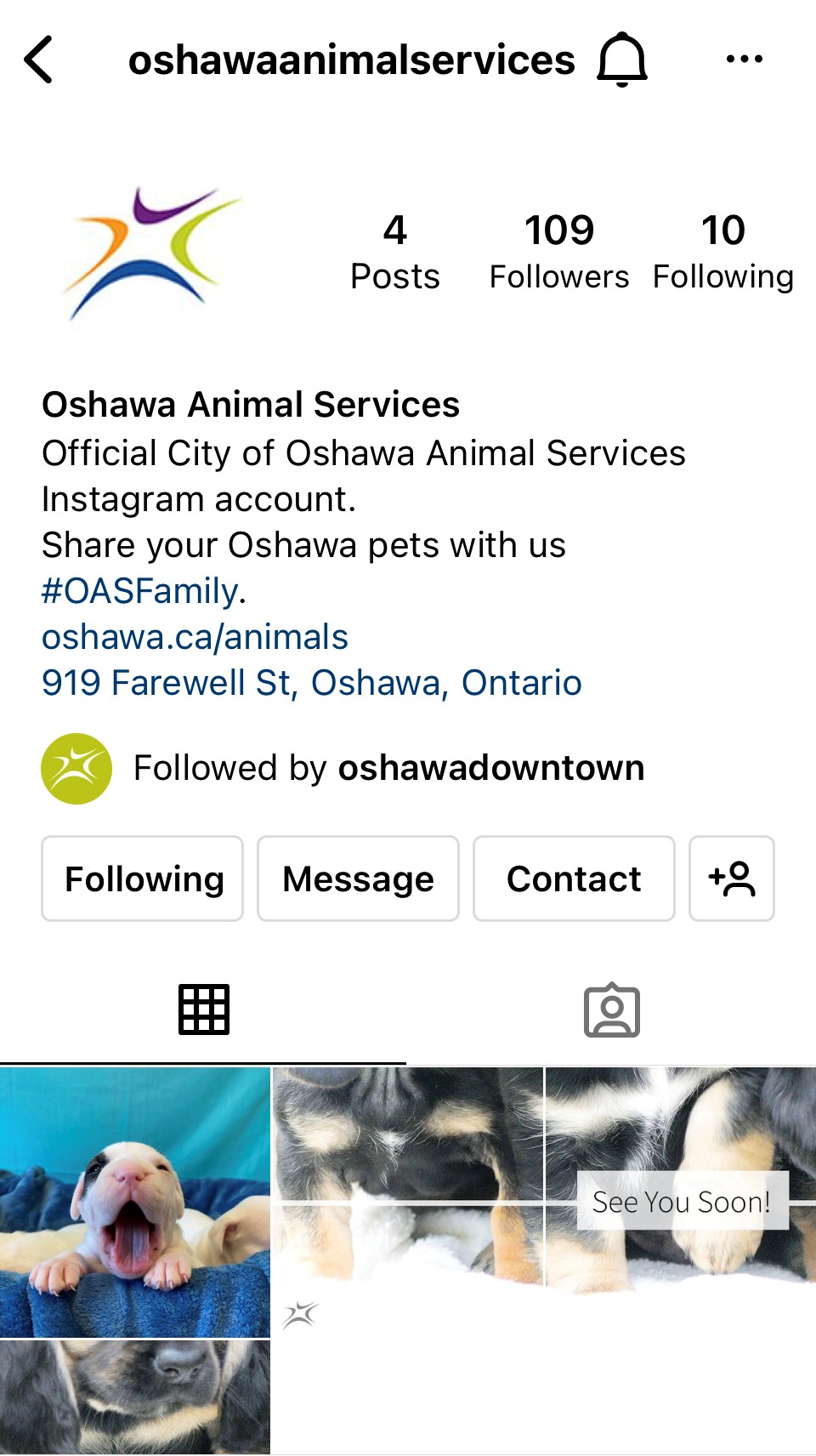 Oshawa Animal Services Instagram account image