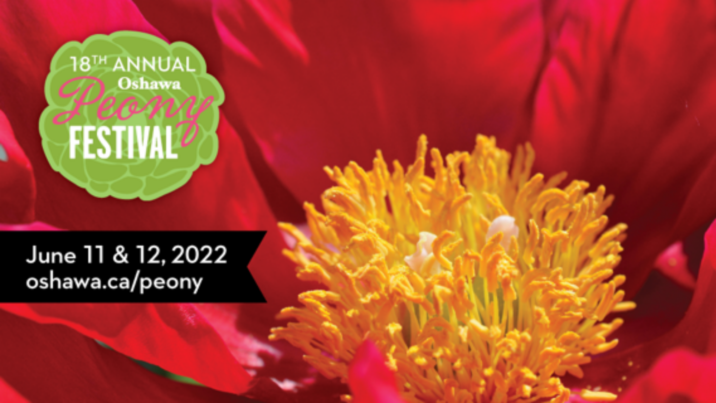 Peony Festival image