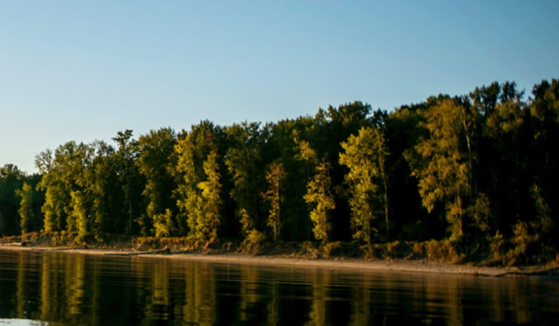 shoreline in Oshawa