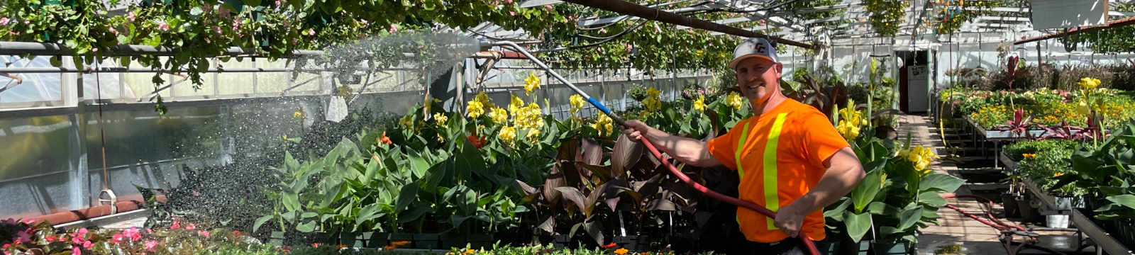 Staff watering plants in the City of Oshawa greenhouse