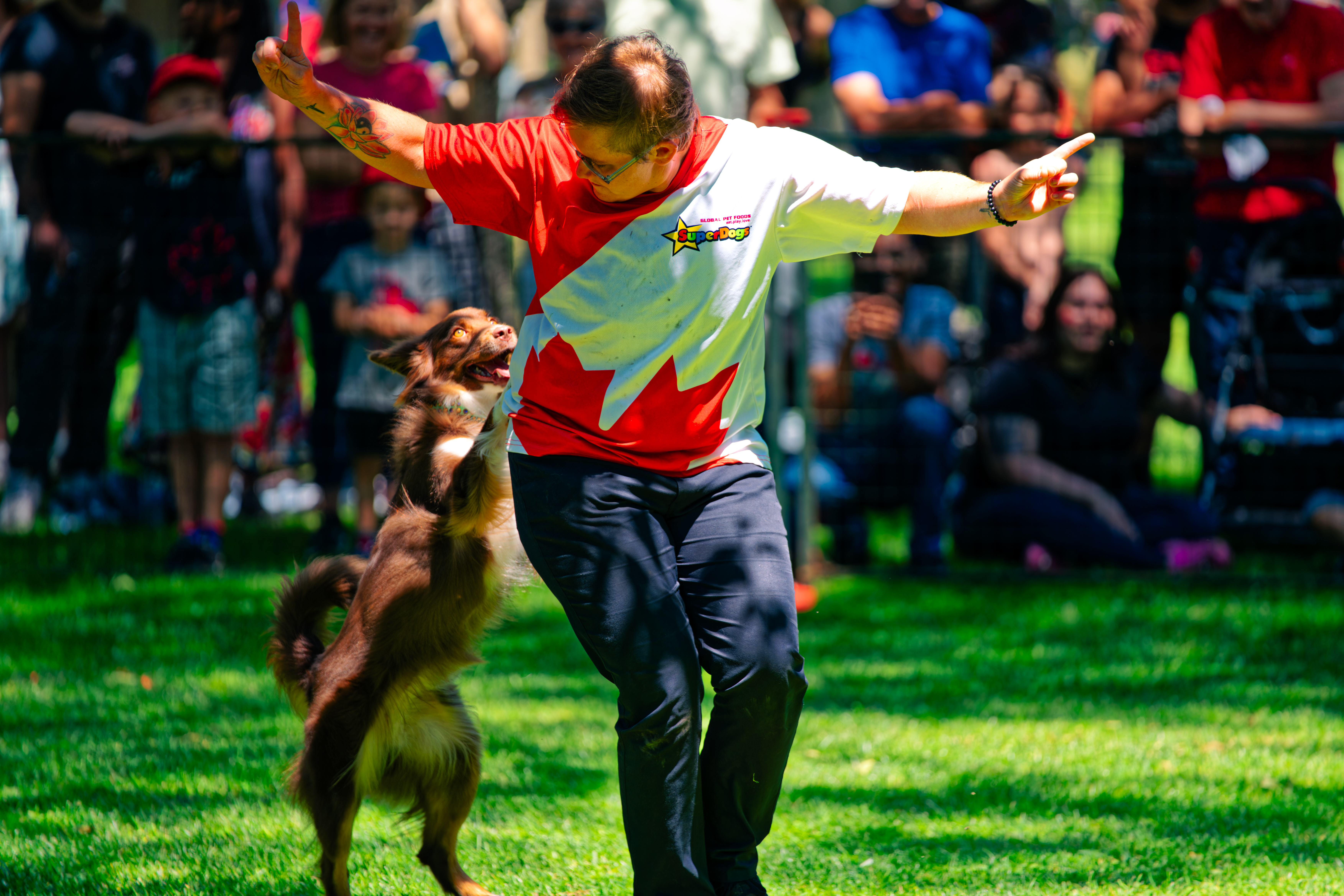 dog performer and dog