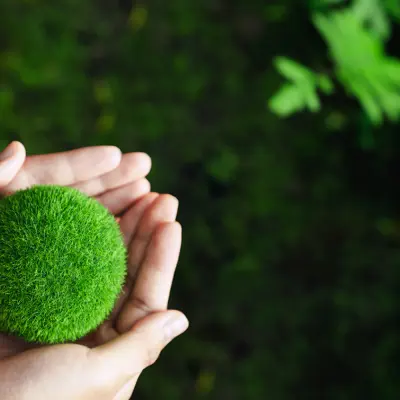 hands holding a green globe