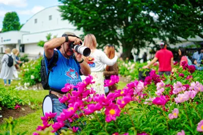 visitors in a peony garden taking photos