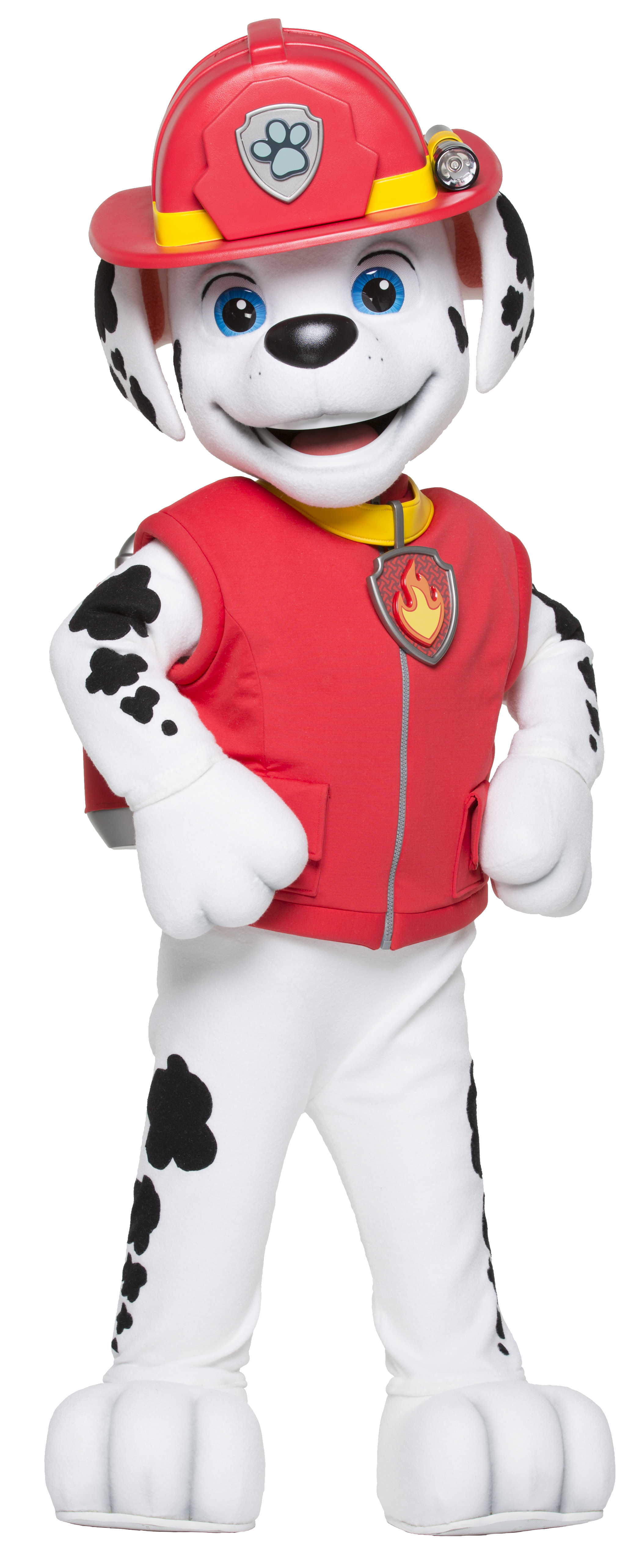 Paw Patrol character Marshall