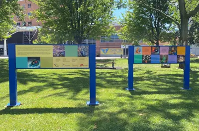 Teachingcity Alexandra Park Installation