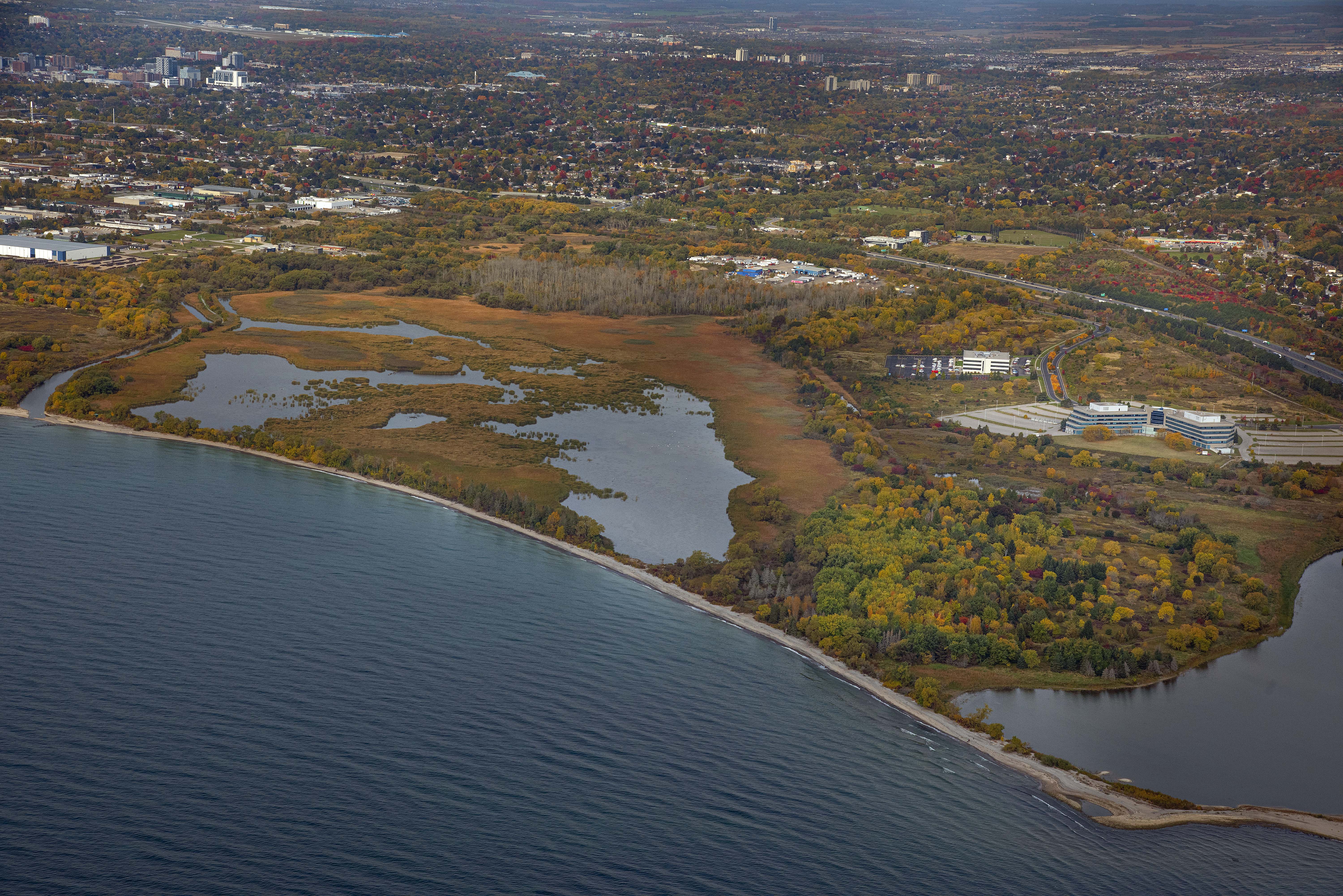 aerial view of shoreline